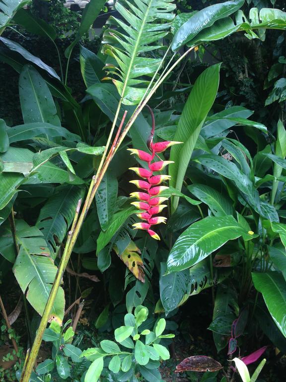 Janela De Marcia Bed And Breakfast ฟลอเรียนอโปลิส ภายนอก รูปภาพ